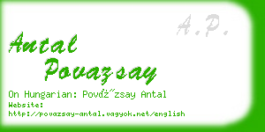 antal povazsay business card